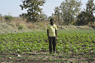Farmer Sitaram Kove, a beneficiary of the Doha model.